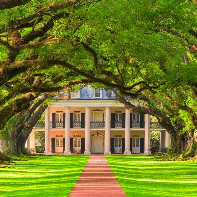 New Orleans: Oak Alley Plantation Tour and Transportation - How Much Time You Have: Making 270 Minutes Feel Enough
