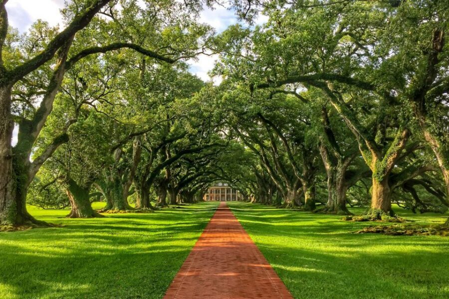 New Orleans: Oak Alley Plantation Tour with Transportation - Key things to know before you go