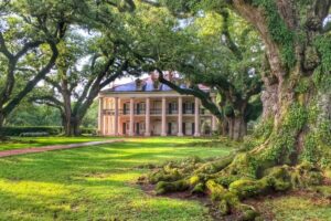 New Orleans: Oak Alley Plantation Tour with Transportation - Walking the Allee of oaks: the famous photo line with heavy context
