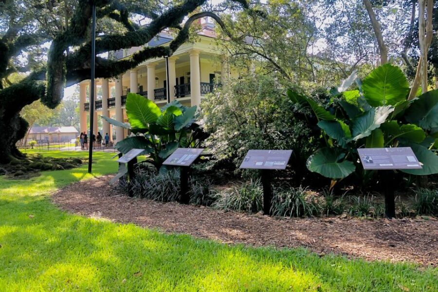 New Orleans: Oak Alley Plantation Tour with Transportation - Reconstructed slave cabins and the slavery exhibit with an interpreter