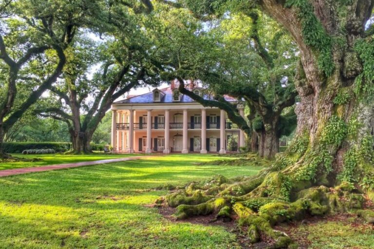 New Orleans: Oak Alley Plantation Tour with Transportation - Walking the Allee of oaks: the famous photo line with heavy context