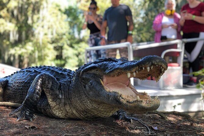 New Orleans Premium Six-Passenger Airboat Adventure - Getting from New Orleans to the Lafitte swamp dock