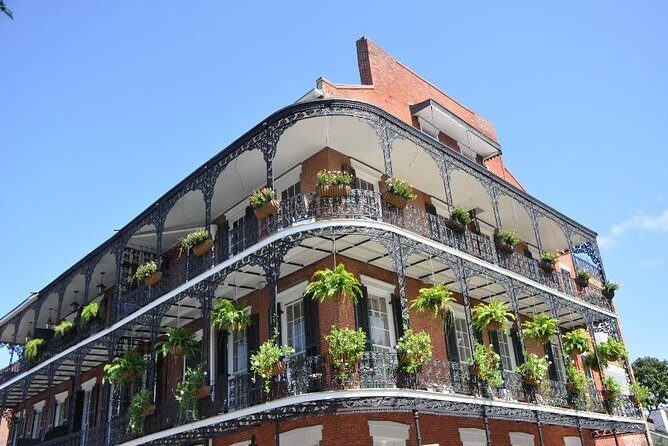 New Orleans Private Carriage Tour of the French Quarter - Photos, Video, and What to Wear