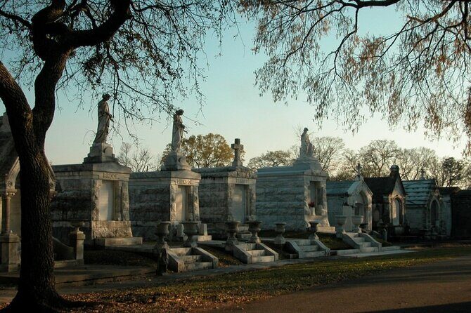 New Orleans Private City and Cemetery Tour: Up to 24 Passengers - City Park and the NOMA Besthoff Sculpture Garden + Beignets