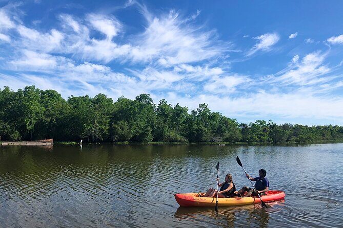 New Orleans Self-Guided Kayak Bayou Swamp Tour - Key highlights you’ll actually care about
