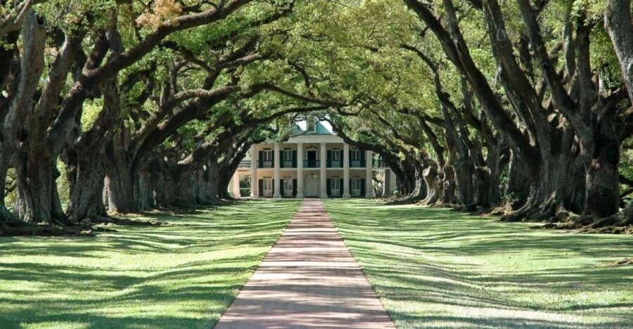 New Orleans: Single Plantation and Pontoon Swamp Day Trip - Choosing between Laura, Oak Alley, and Whitney