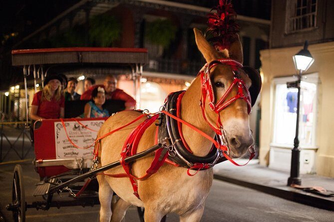 New Orleans Small-Group Haunted History Carriage Tour - Where You Meet: Jackson Square at 700 Decatur St