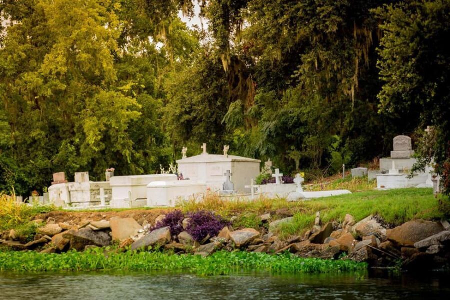 New Orleans: Swamp & Bayou Boat Tour with Transportation - Waiting, boarding, and time gaps: plan for real-world timing
