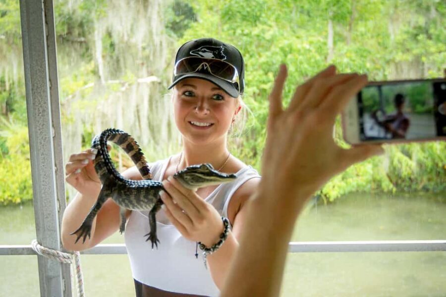New Orleans: Swamp Boat Ride and Historic Plantation Tour - Key highlights worth planning for
