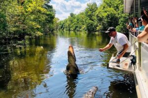 New Orleans: Swamp Boat Ride and Historic Plantation Tour - Gray Line pickup and how the 7.5-hour day moves
