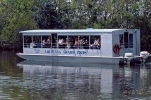 New Orleans Swamp Tour Boat Adventure - Your Boat Setup: Roof, Cushioned Seats, Restroom, and Weather Controls