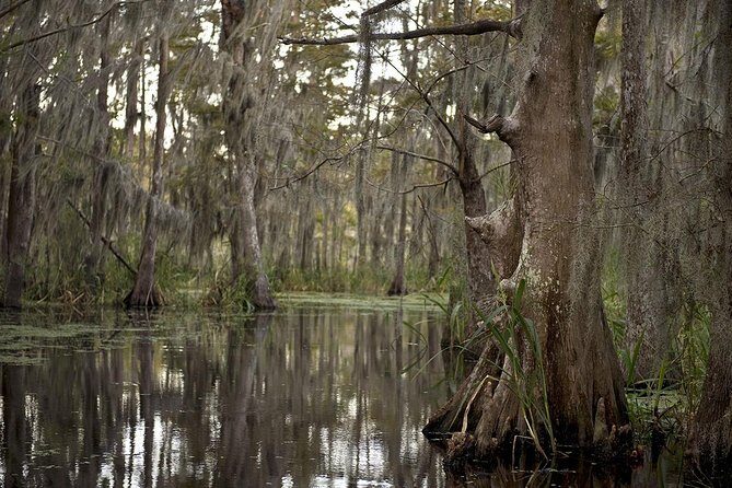 New Orleans Swamp Tour Boat Adventure - Passing the Cajun Cemetery, Indian Burial Mound, and Fishing Village