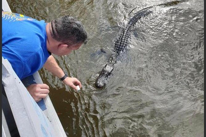 New Orleans Swamp Tour Boat Adventure - What to Wear and Bring for a Bayou Boat Ride