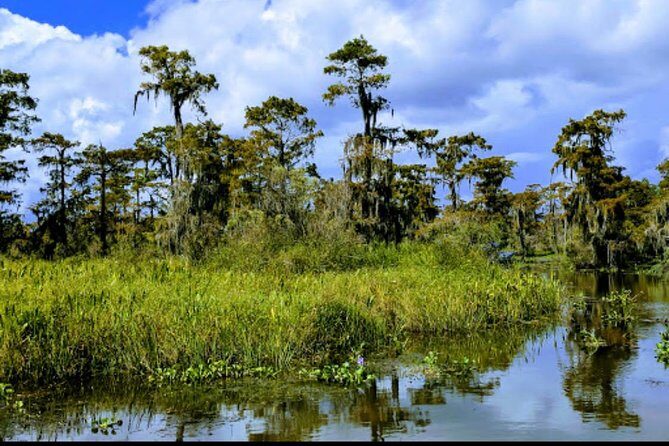 New Orleans Swamp Tour Boat Adventure with Transportation - Guides Make or Break the Day