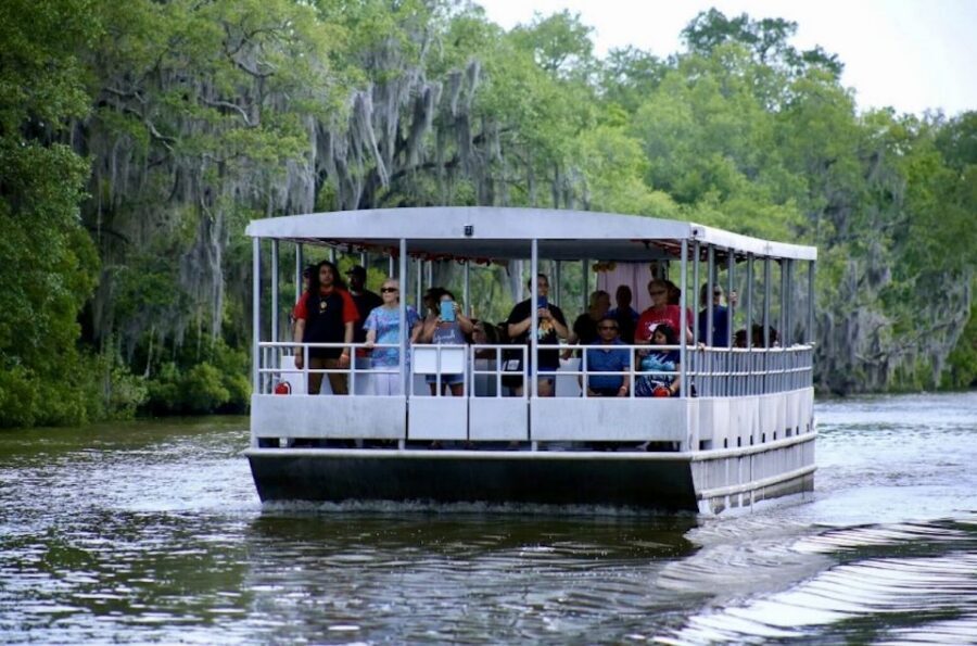 New Orleans: Swamp Tour on Covered Pontoon Boat - Covered pontoon comfort in a quieter kind of swamp