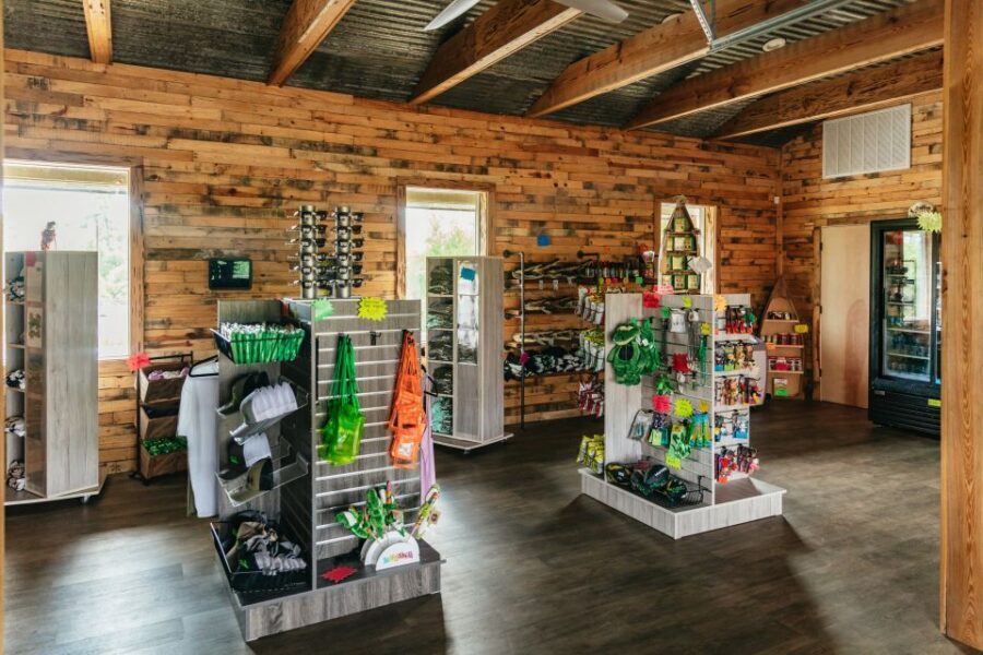 New Orleans: Swamp Zipline Tour - What to bring so you don’t regret it halfway through