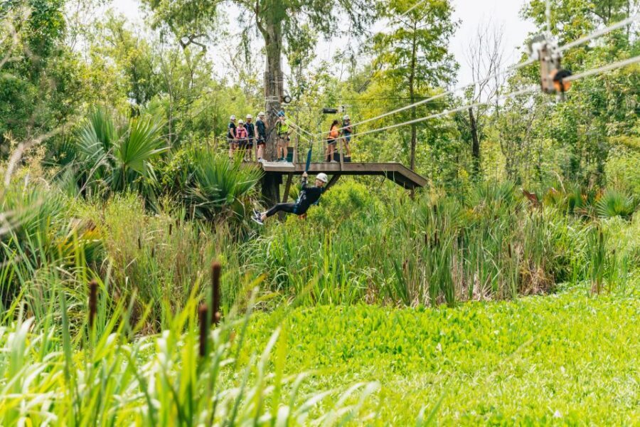 New Orleans: Swamp Zipline Tour - What happens on the course: five ziplines, two suspension bridges, and a half-mile glide