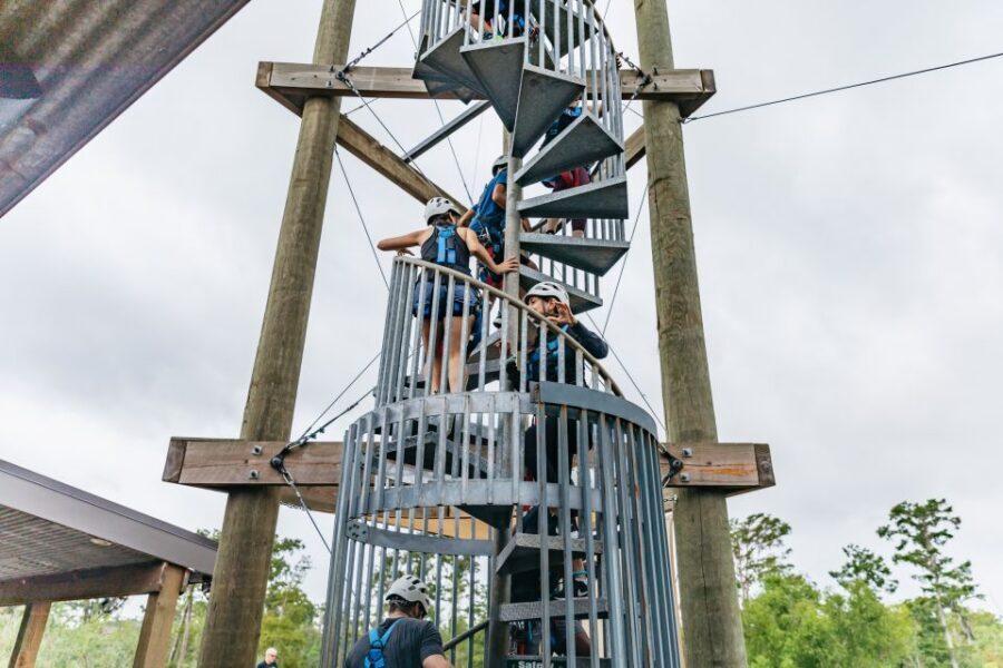 New Orleans: Swamp Zipline Tour - Wildlife spotting from treetops: what you might see and how to look