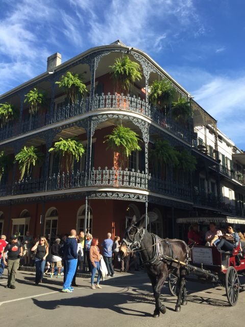 New Orleans: Traditional City and Estate Tour - Why this tour mixes neighborhoods, cemeteries, and City Park