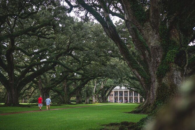 New Orleans Walking Tour: Garden District Stories - Guide Style, Group Size, and the One Thing to Watch