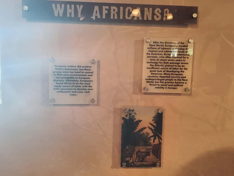 New Orleans: Whitney Plantation Half-Day Tour (Guided Tour) - Getting Picked Up at Jackson Square (And Why That Matters)