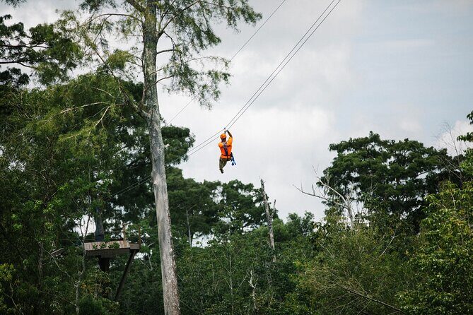 New Orleans Zipline Swamp Tour - Key highlights worth planning for