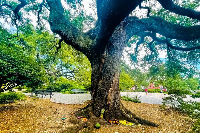 Nola Voodoo Walking Tour with High Priestess Guide in New Orleans - Price and value: why $40 can feel fair (or not)