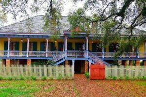Oak Alley or Laura Plantation Tour from New Orleans - Price and value: why $69 feels fair on paper