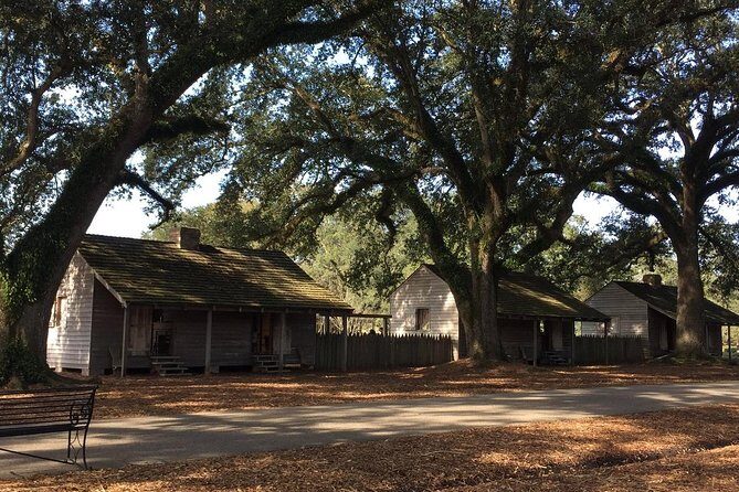 Oak Alley or Laura Plantation Tour from New Orleans - Should you book Oak Alley or Laura from New Orleans?