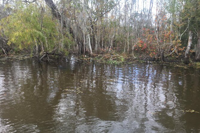 Oak Alley Plantation and Airboat Combo Tour by Bus - Who This Tour Is Best For