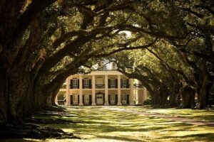 Oak Alley Plantation and Large Airboat Swamp Tour from New Orleans - Oak Alley Plantation: what the mansion tour actually feels like