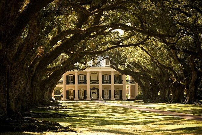 Oak Alley Plantation and Large Airboat Swamp Tour from New Orleans - Oak Alley Plantation: what the mansion tour actually feels like