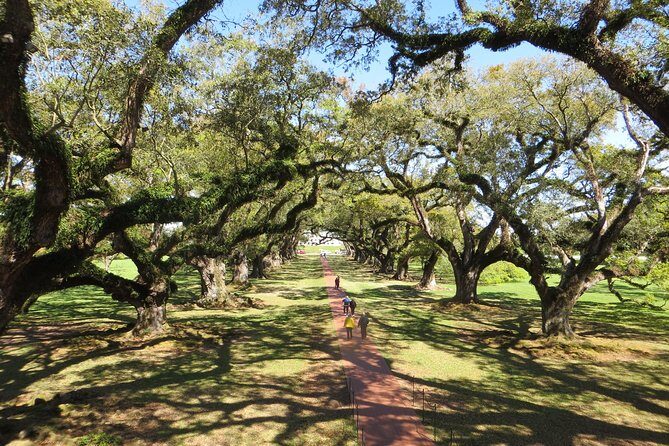 Oak Alley Plantation and New Orleans City Tour - How this Oak Alley + city highlights combo saves your day
