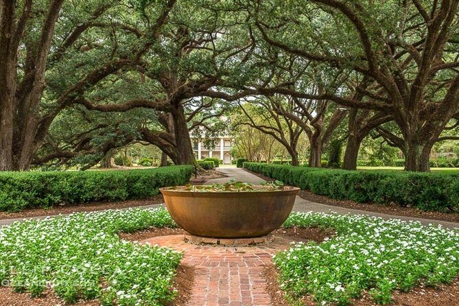 Oak Alley Plantation and Small Airboat Tour from New Orleans - Tips to make the most of your day without feeling rushed