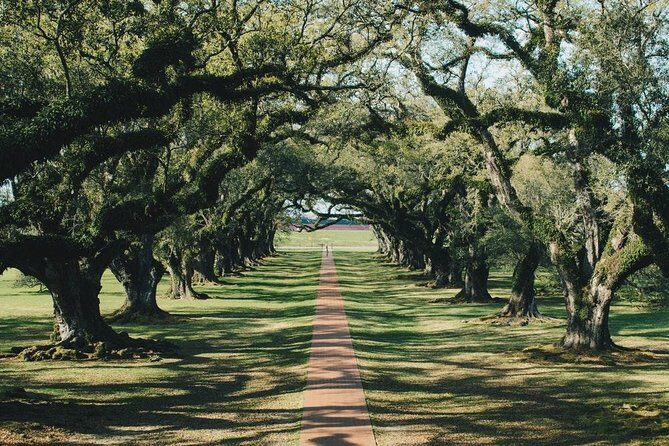 Oak Alley Plantation and Small Airboat Tour from New Orleans - Should you book this Oak Alley and small airboat tour?