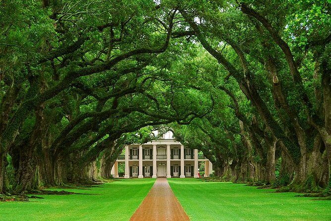 Oak Alley Plantation Half-Day Tour from New Orleans - Oak Alley Half-Day: What You’ll Really Be Doing