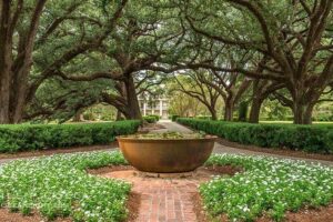 Oak Alley Plantation Half-Day Tour from New Orleans - Price and Value at $75: What You’re Paying For