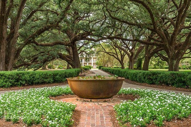 Oak Alley Plantation Half-Day Tour from New Orleans - Price and Value at $75: What You’re Paying For