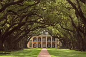 Oak Alley Plantation Tour with Pickup from New Orleans - The drive through plantation-row stories: Whitney, Laura, and St. Joseph
