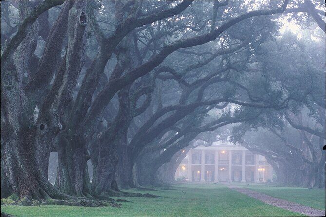 Oak Alley Plantation Tour with Pickup from New Orleans - Price and value: is $86.70 a fair deal for this timing?