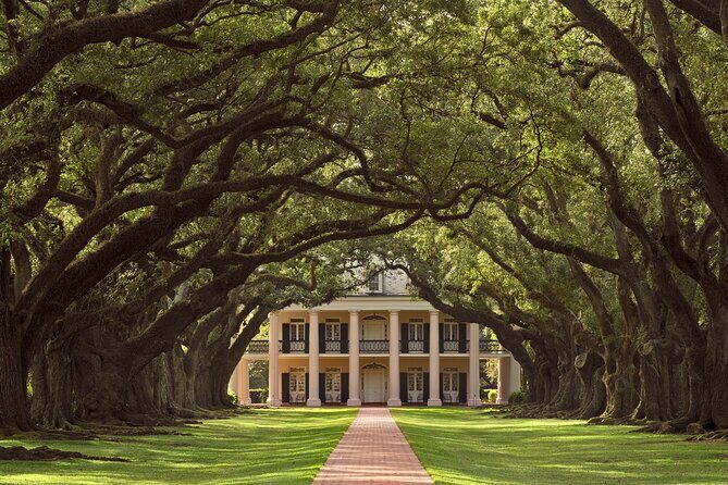 Oak Alley Plantation Tour with Pickup from New Orleans - The drive through plantation-row stories: Whitney, Laura, and St. Joseph