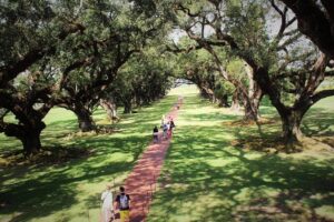 Oak Alley Plantation Tour with Transportation - Inside Oak Alley: What the Big House Tour Really Covers