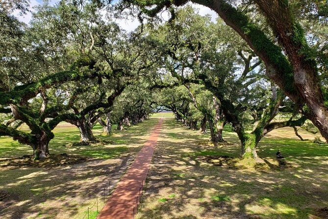 Oak Alley Plantation Tour with Transportation - Who This Tour Suits Best (And Who Should Think Twice)