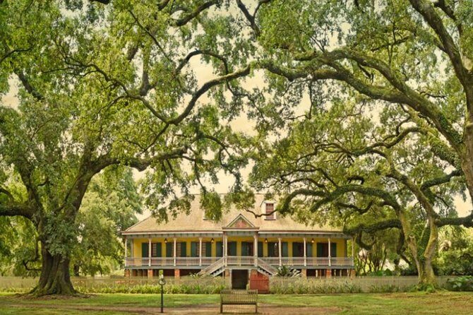Private Airboat Ride and Plantations Tour with Gourmet Lunch from New Orleans - The drive-time storytelling matters more than you think