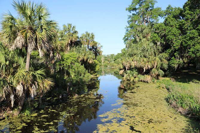Private New Orleans City and Cemetery Bus Tour Up to 24 People - Pickup, mobile tickets, and how the day is paced