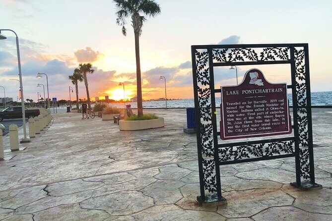 Private New Orleans City and Cemetery Bus Tour Up to 24 People - City Park in 20 minutes: live oaks, shade, and an easy reset