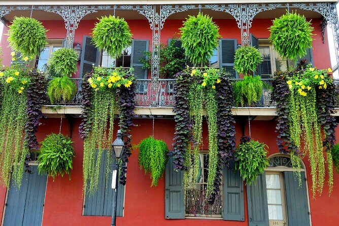 Private New Orleans City Tour with Local Expert Guide - Garden District and St. Charles Ave: architecture you can feel