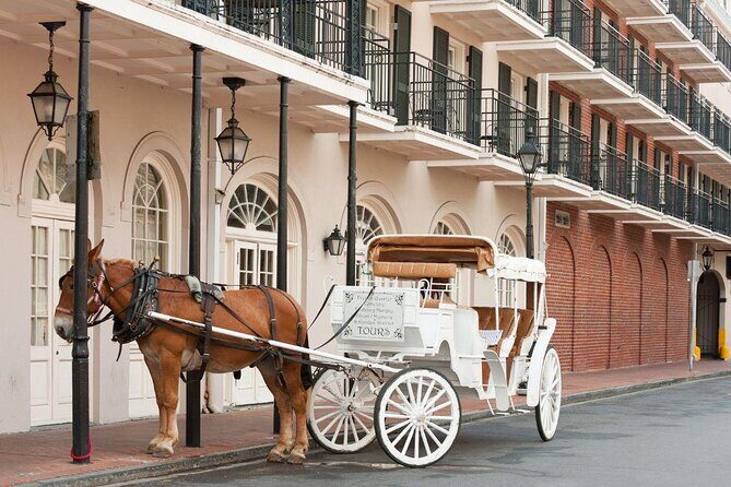 Private New Orleans Culinary, Cocktail and Kitchen Adventure - Key highlights you’ll feel right away