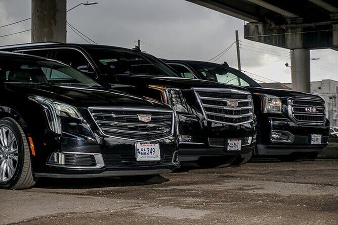 Private Round-Trip Transfer New Orleans and Louis Armstrong MSY - Entering New Orleans with a car already waiting