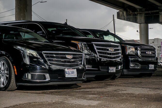 Private Transfer to/from Louis Armstrong Intl Airport and NOLA - Meet-and-Greet Details at Louis Armstrong Airport (MSY)
